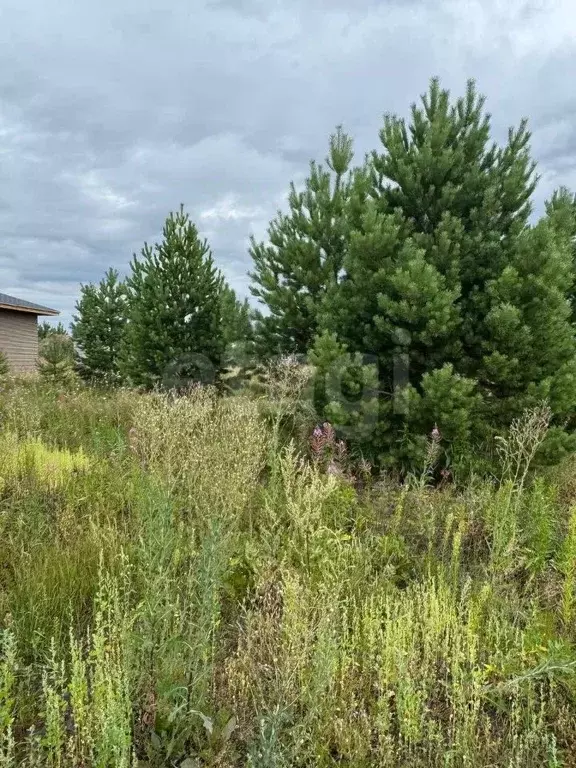 Участок в Тюменская область, Тюменский муниципальный округ, с. ... - Фото 1