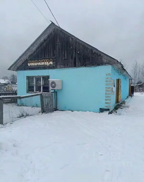 Торговая площадь в Пермский край, Александровск Яйва пгт, ул. Максима ... - Фото 1