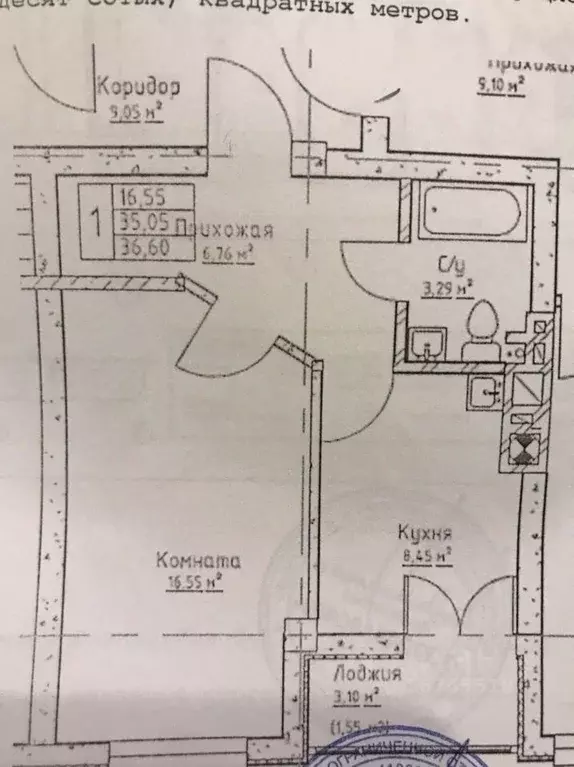 1-к кв. Калининградская область, Калининград ул. Аллея Смелых, 204к2 ... - Фото 2