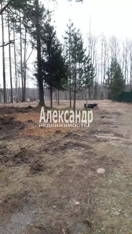 Участок в Ленинградская область, Приозерский район, Ларионовское ... - Фото 0