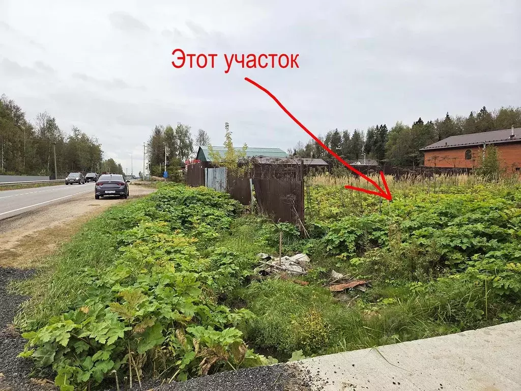 Участок в Московская область, Пушкинский городской округ, Грибановские ... - Фото 0