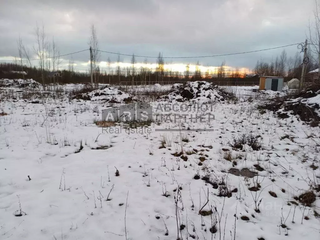 Участок в Новгородская область, Новгородский район, Савинское с/пос, ... - Фото 2