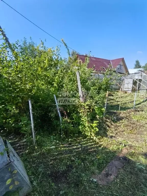 Участок в Свердловская область, Екатеринбург Строитель-21 СНТ,  (5.0 ... - Фото 1