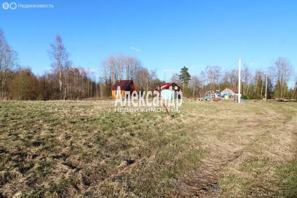 Участок в Выборгский район, Каменногорское городское поселение, ... - Фото 2