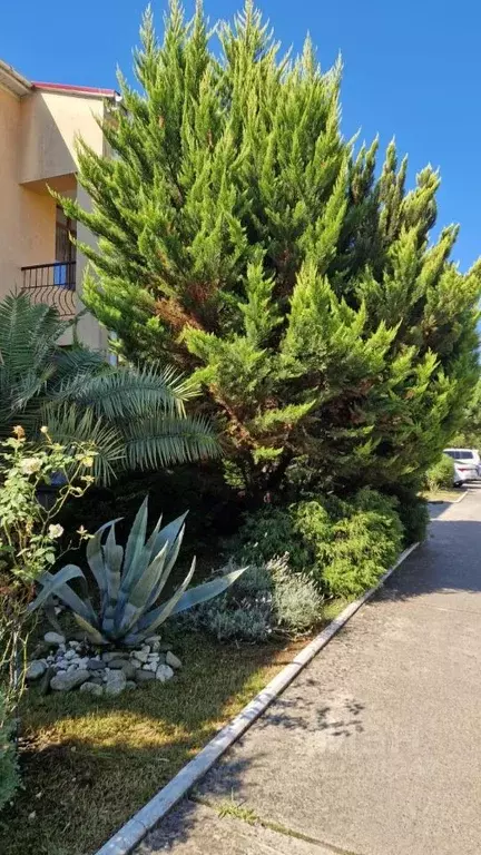 Коттедж в Краснодарский край, Сочи ул. Ленина, 217А/5А (100 м) - Фото 2