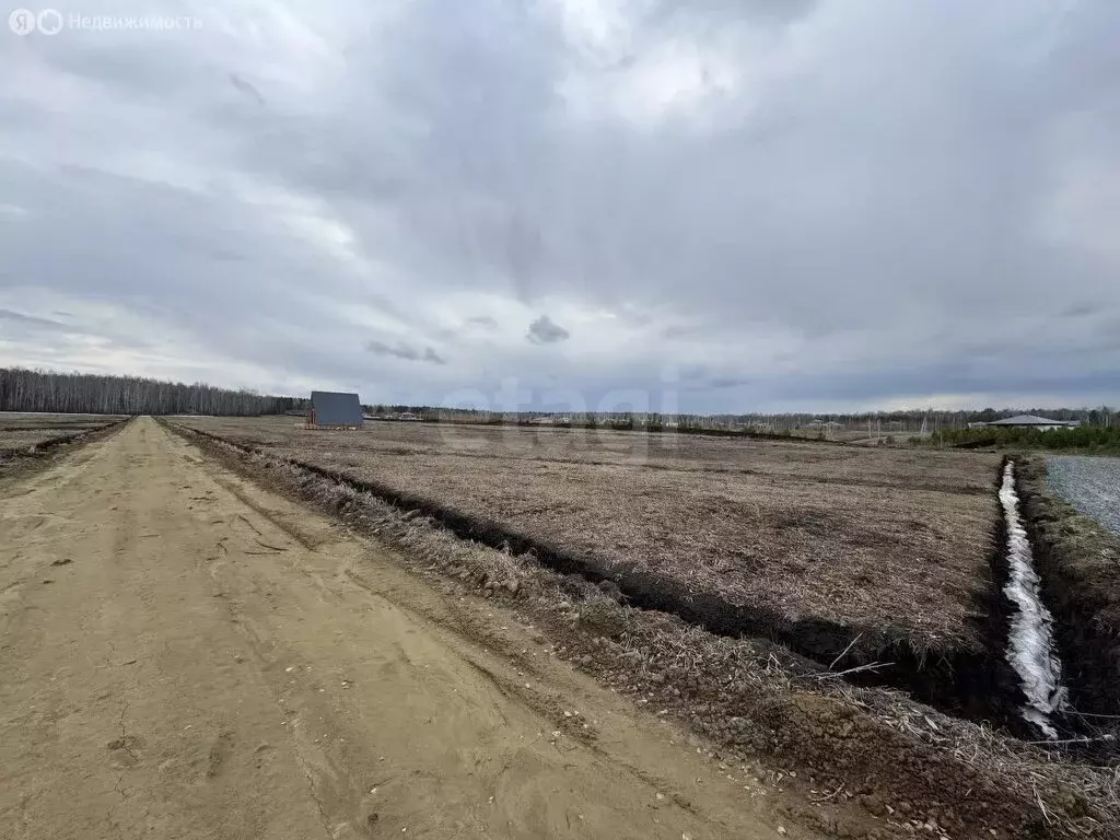 Участок в Тюменский район, село Кулига, коттеджный посёлок Заповедный ... - Фото 1