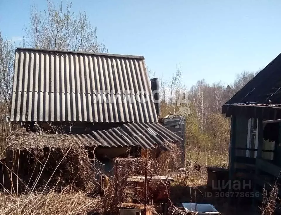 Дом в Новосибирская область, Новосибирский район, Раздольненский ... - Фото 1