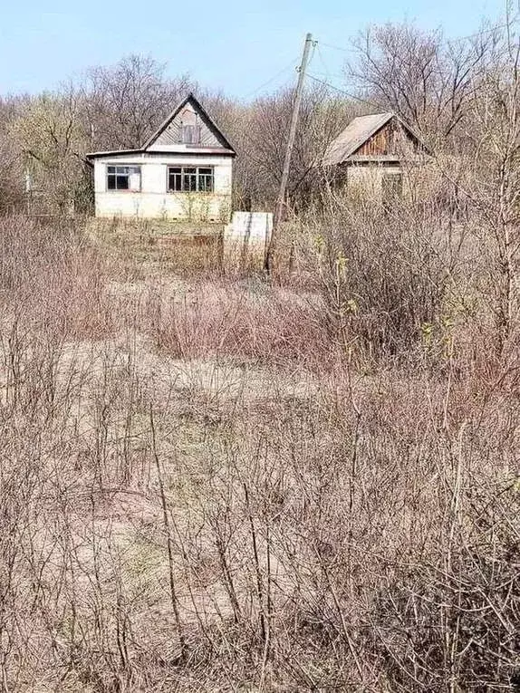 Дом в Оренбургская область, Бузулук Вымпел СНТ,  (16 м) - Фото 1