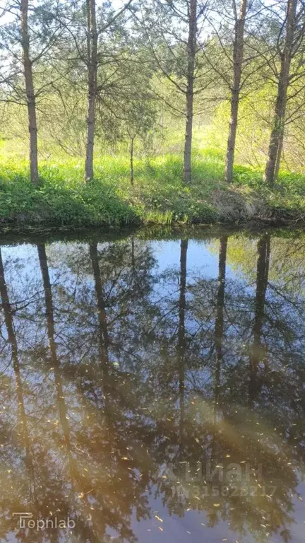 Дом в Ленинградская область, Тосненский район, Ульяновское городское ... - Фото 2