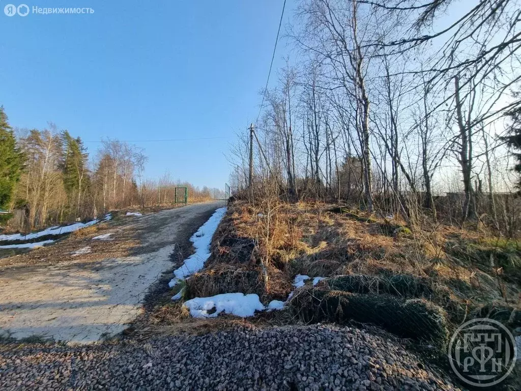 Участок в Выборгский район, Первомайское сельское поселение, ... - Фото 2