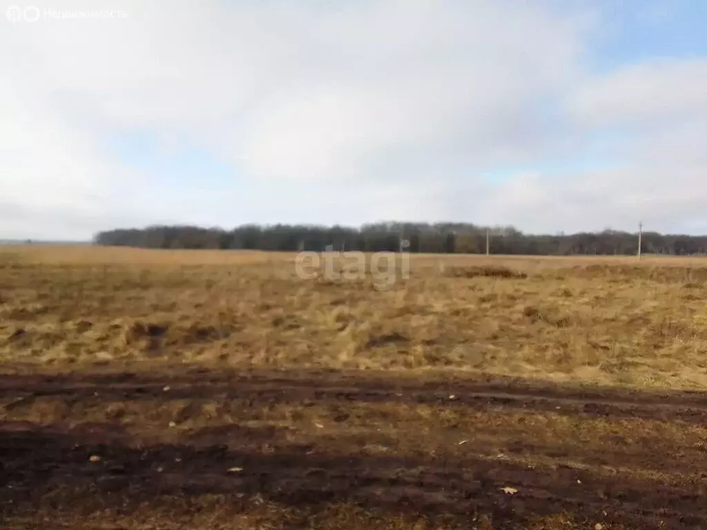 Участок в Курский район, Шумаковский сельсовет, деревня Малая ... - Фото 0