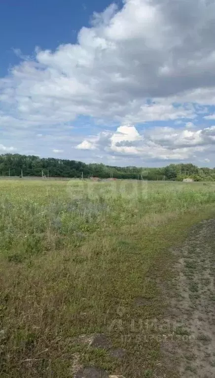 Участок в Белгородская область, Белгород ул. Виктора Лосева (15.0 ... - Фото 1