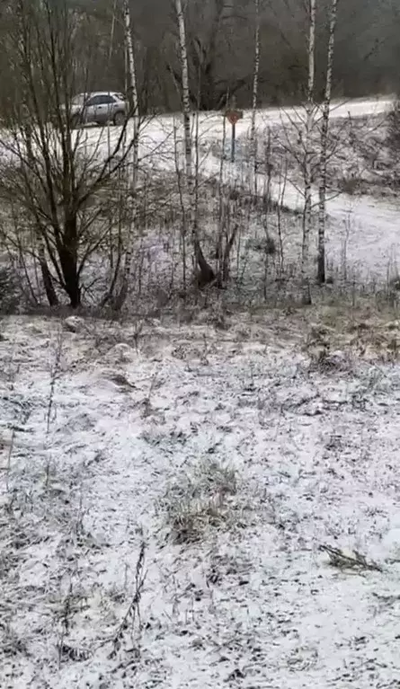 Участок в Калужская область, Боровский муниципальный округ, с. ... - Фото 1