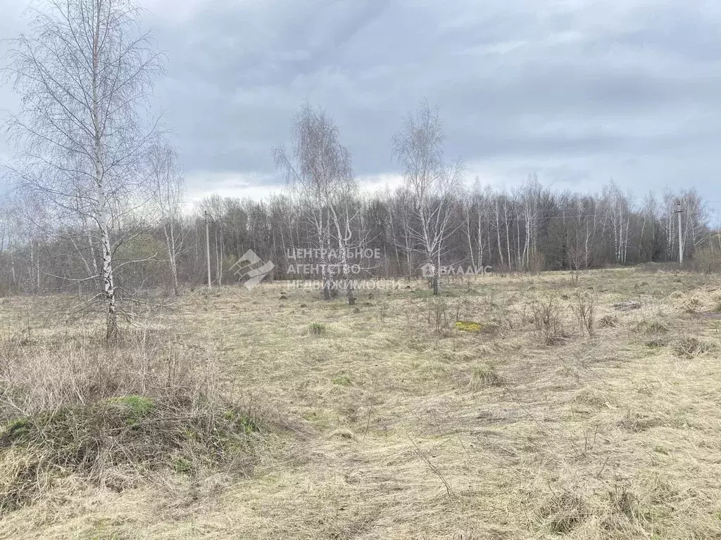 Участок в Рязанская область, Пронский муниципальный округ, д. Ивашково ... - Фото 1