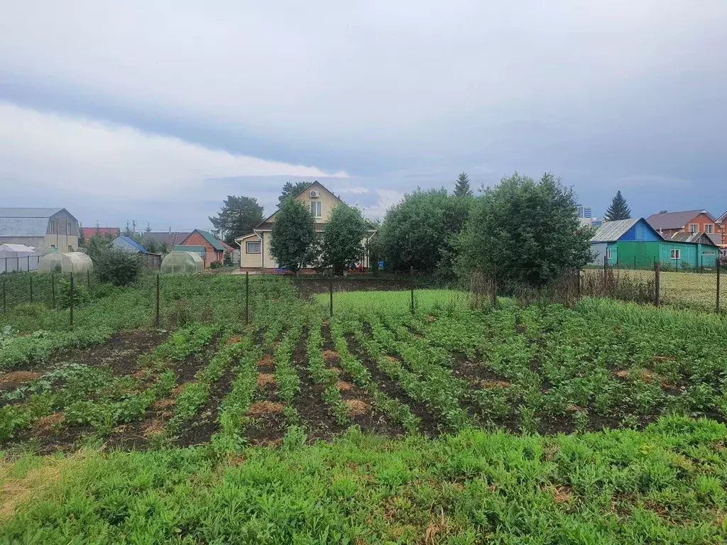 Участок в Башкортостан, Уфимский район, с. Михайловка Октябрьский ... - Фото 1