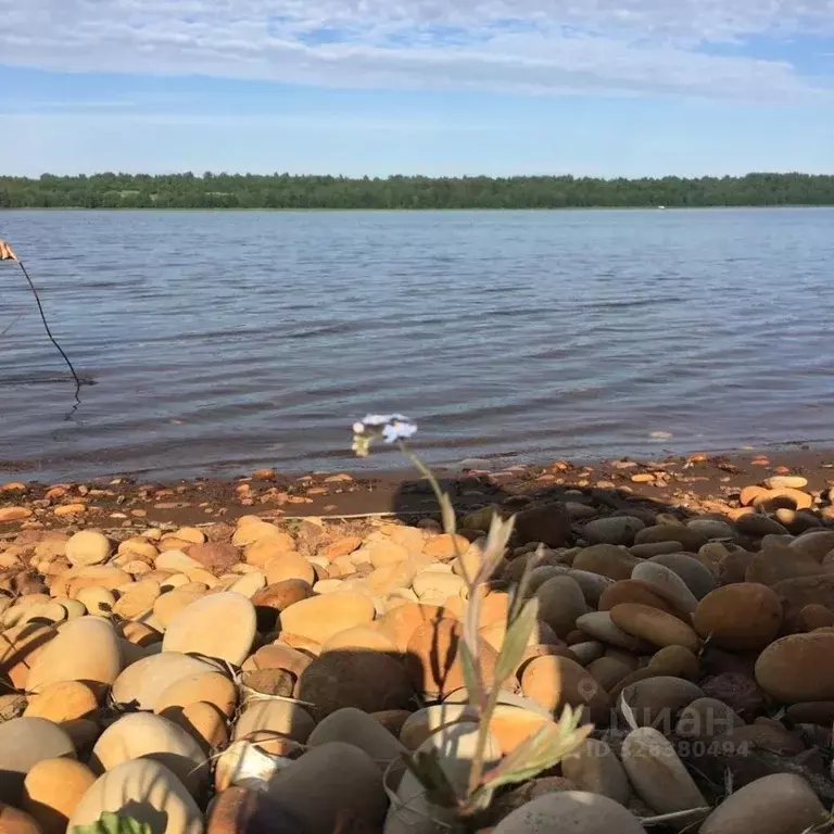 Участок в Ленинградская область, Приозерский район, Запорожское с/пос, ... - Фото 1
