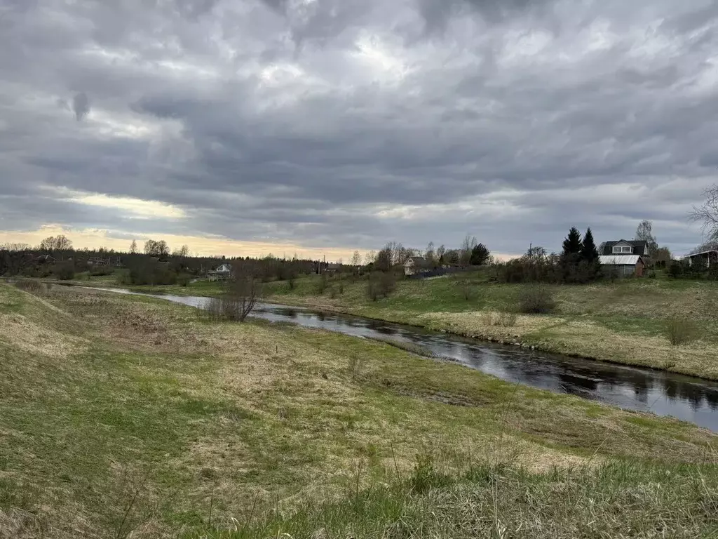 Участок в Ленинградская область, Волосовский район, Сабское с/пос  ... - Фото 2