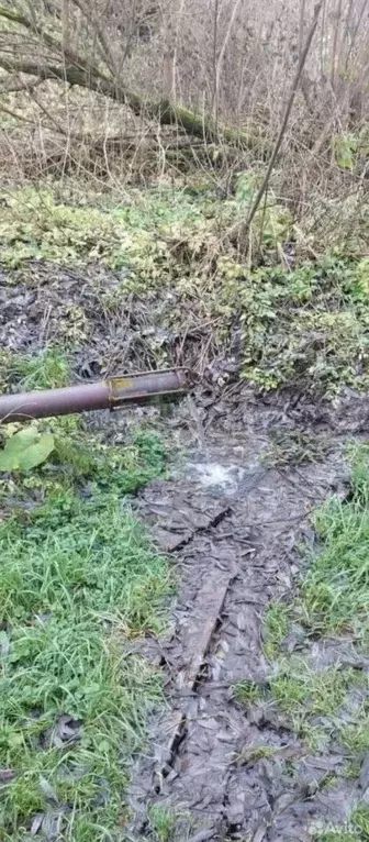 Участок в Калужская область, Калуга д. Азарово,  (10.0 сот.) - Фото 2