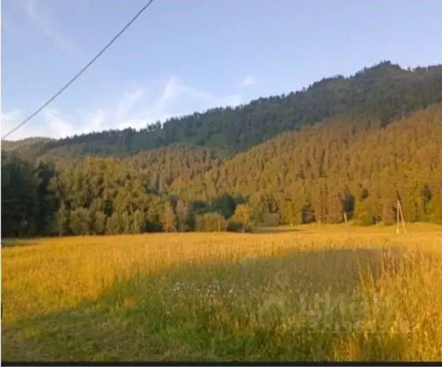 Участок в Алтай, Чемальский район, с. Турбаза Катунь ул. Романтиков, 1 ... - Фото 0