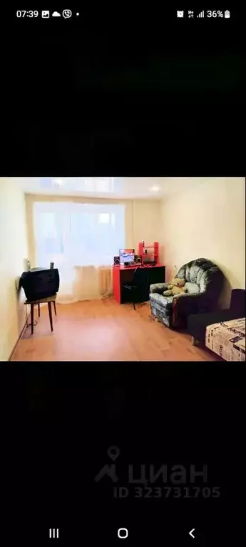 1-к кв. Ульяновская область, Ульяновск ул. Димитрова, 73 (31.0 м) - Фото 1