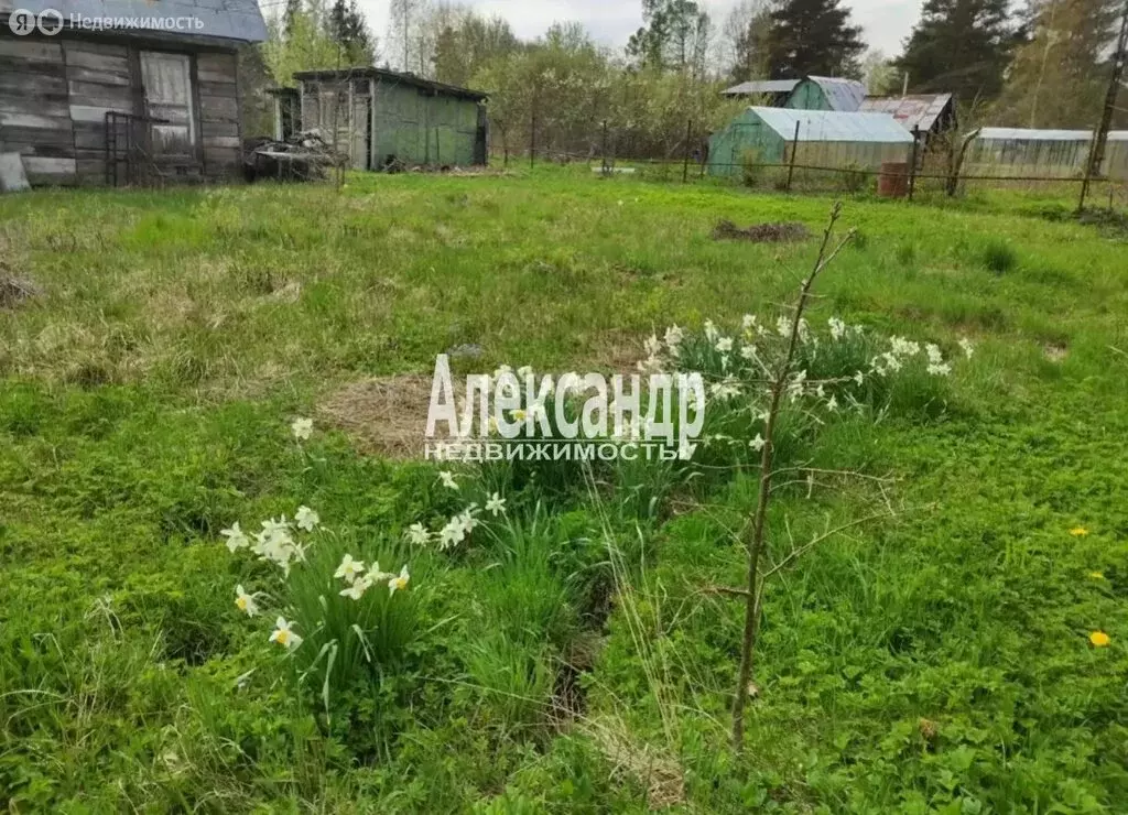 Участок в Мгинское городское поселение, садоводческий массив Апраксин, ... - Фото 1
