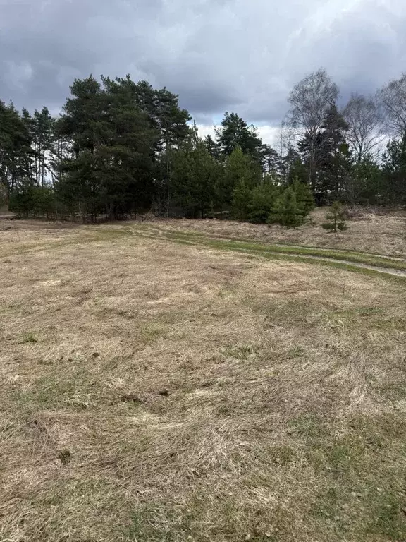 Участок в Московская область, Ступино городской округ, Эко Берег кп ... - Фото 2