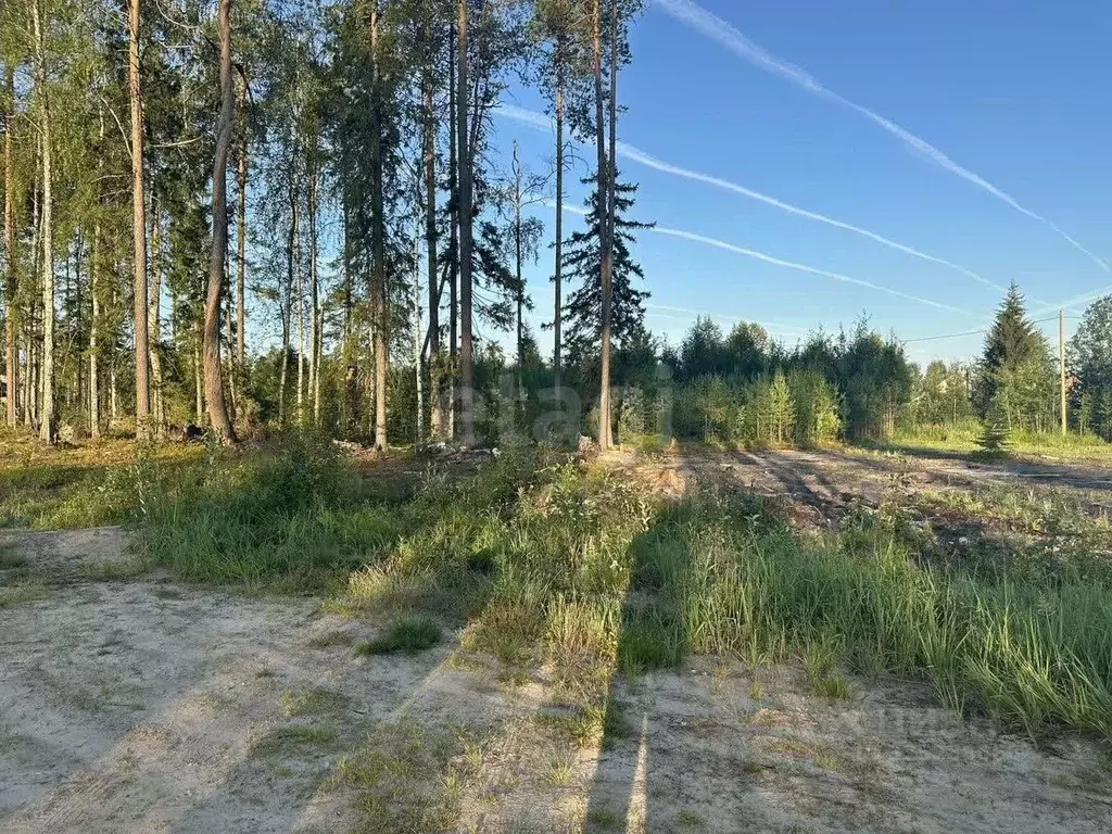 Участок в Коми, Сыктывкар городской округ, Краснозатонский пгт ул. ... - Фото 2