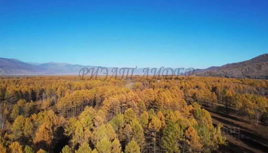 Участок в Алтай, Усть-Коксинский район, с. Усть-Кокса  (8.0 сот.) - Фото 0
