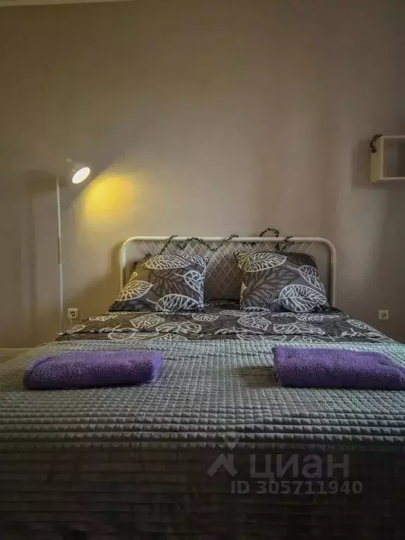 Студия Московская область, Щелково Богородский мкр, 2 (27.0 м) - Фото 2