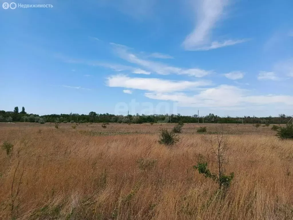 Участок в Останинское сельское поселение, село Песочное, улица ... - Фото 1