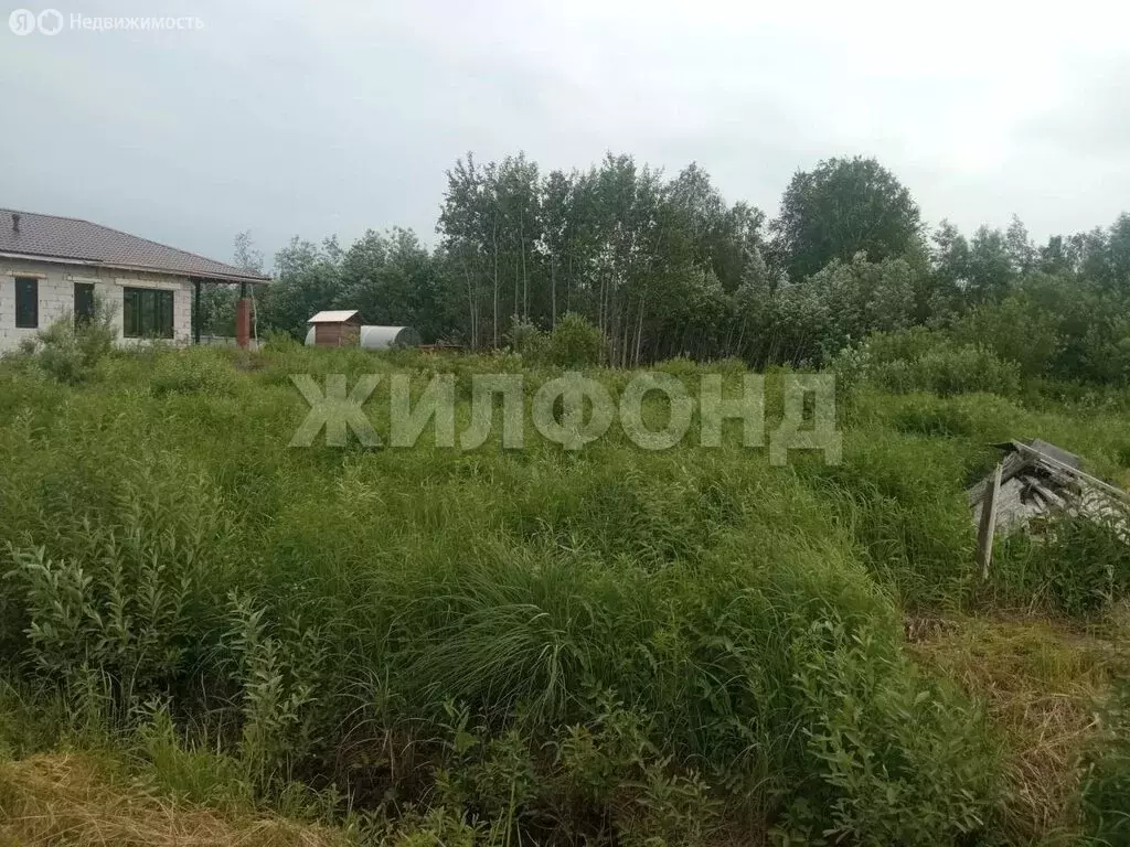 Участок в Колыванский район, товарищество собственников недвижимости ... - Фото 1
