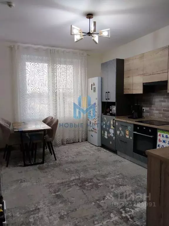 3-к кв. Нижегородская область, Нижний Новгород д. Анкудиновка, ул. ... - Фото 2