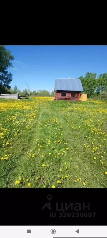 Участок в Башкортостан, Калтасинский район, Калегинский сельсовет, д. ... - Фото 2