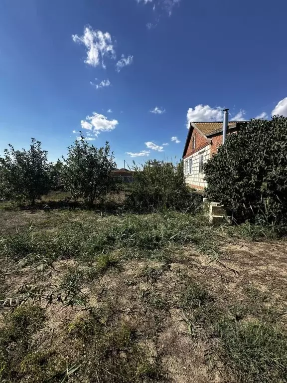 Дом в Астраханская область, Володарский район, с. Сизый Бугор ул. ... - Фото 1