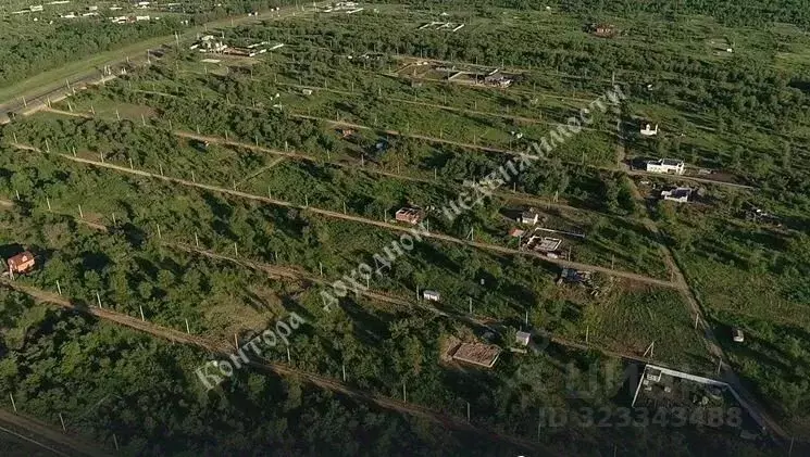 Участок в Ростовская область, Родионово-Несветайский район, ... - Фото 2