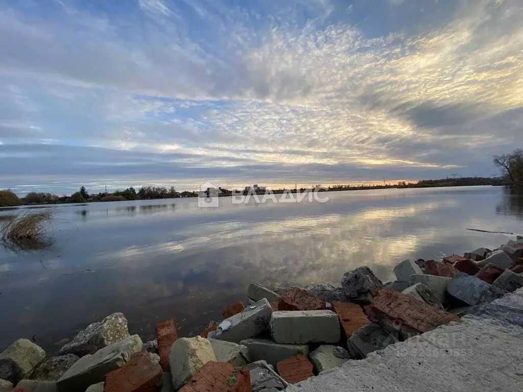 Участок в Саратовская область, Балаковский район, Натальинское ... - Фото 2