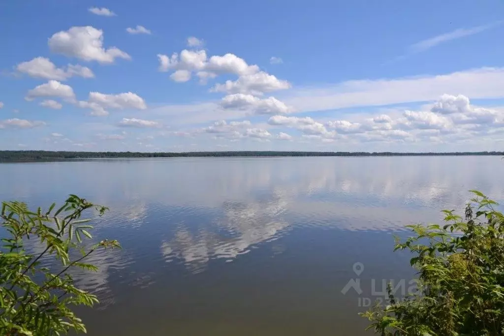 Участок в Вологодская область, Белозерский муниципальный округ, ... - Фото 1