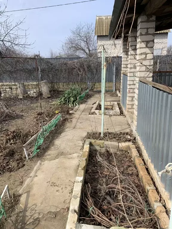 Дом в Волгоградская область, Волгоград Рябинушка СНТ,  (60 м) - Фото 2