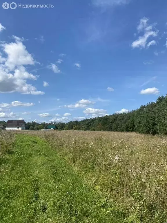 Участок в Волосовский район, Большеврудское сельское поселение, ... - Фото 2