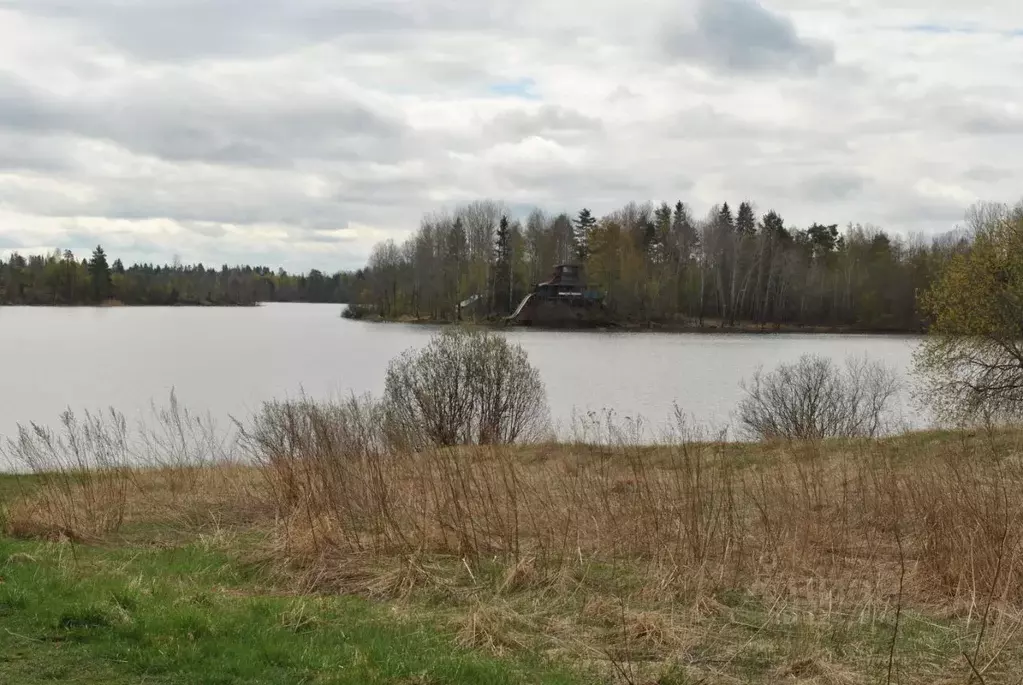 Участок в Ленинградская область, Приозерский район, Севастьяновское ... - Фото 1