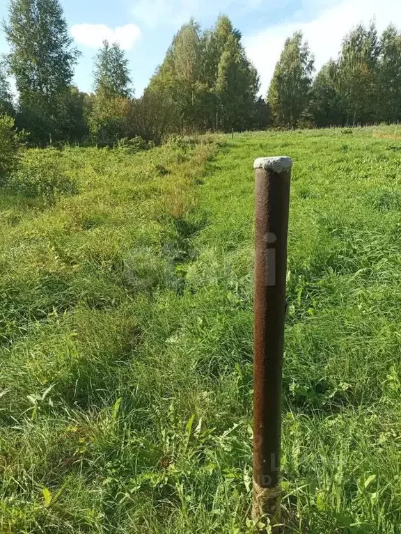 Участок в Псковская область, Печорский муниципальный округ, д. Кулиско ... - Фото 1