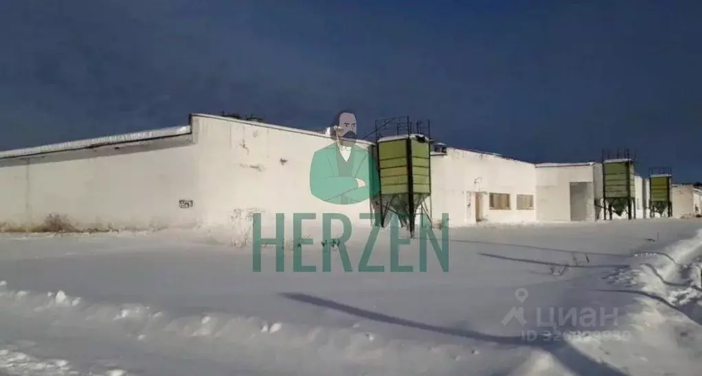 Производственное помещение в Московская область, Клин городской округ, ... - Фото 1