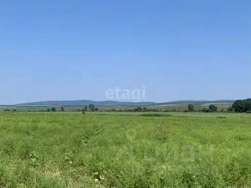 Участок в Краснодарский край, Новороссийск городской округ, ... - Фото 2