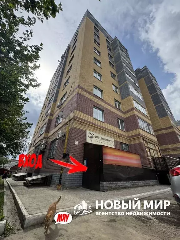 Помещение свободного назначения в Нижегородская область, Бор ... - Фото 0