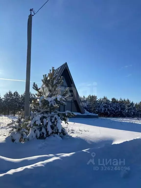 Участок в Тюменская область, Нижнетавдинский муниципальный округ, д. ... - Фото 1