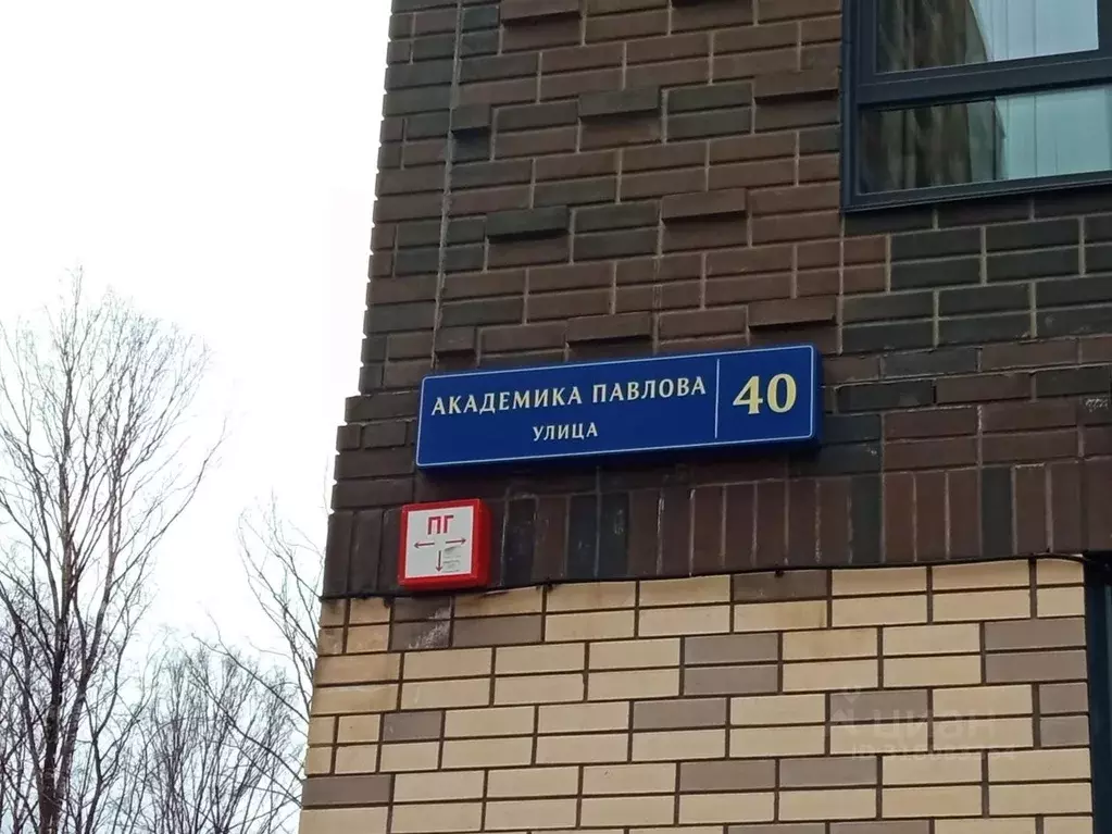 Помещение свободного назначения в Москва ул. Академика Павлова, 40 (93 ... - Фото 0