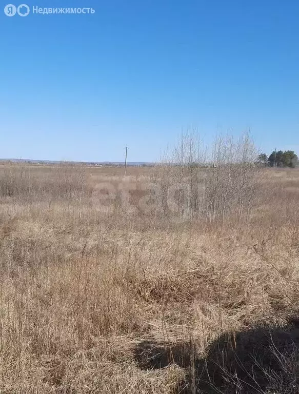 Участок в Амурская область, Благовещенский муниципальный округ, ... - Фото 2