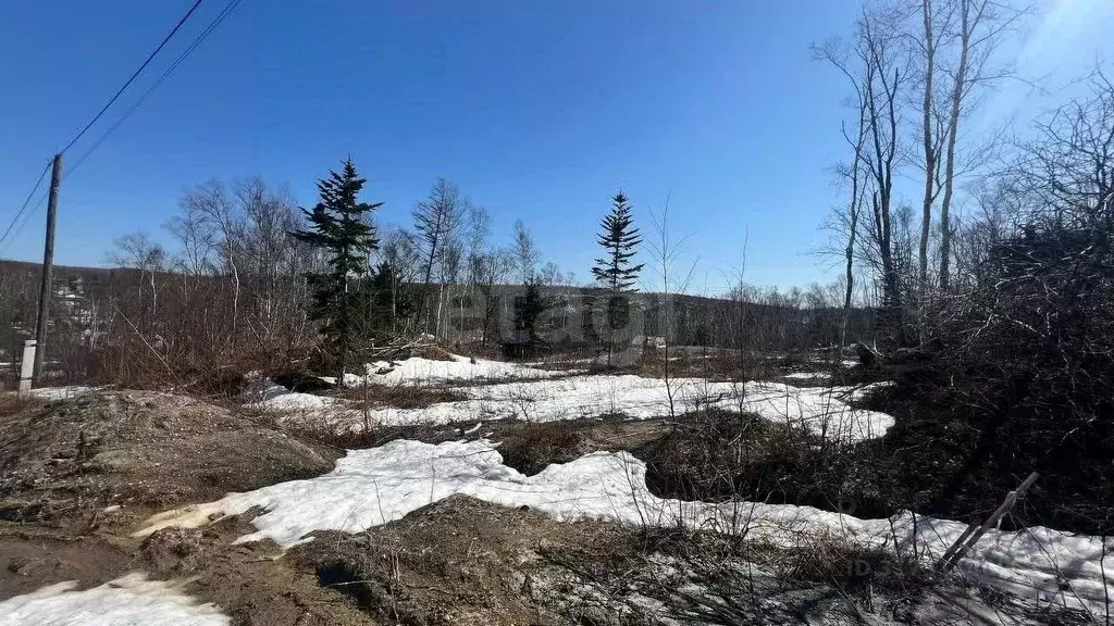Участок в Сахалинская область, Южно-Сахалинск Изыскатель СНТ, ул. ... - Фото 1