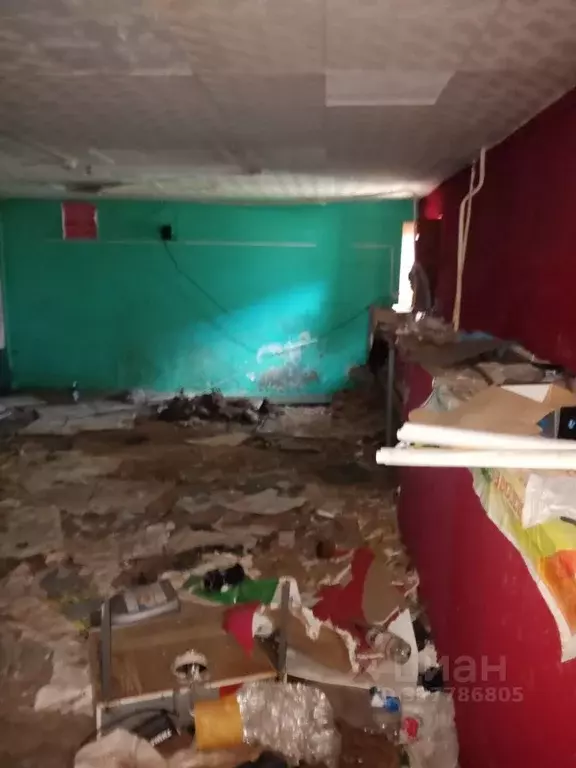 Помещение свободного назначения в Челябинская область, Кыштым ул. ... - Фото 2