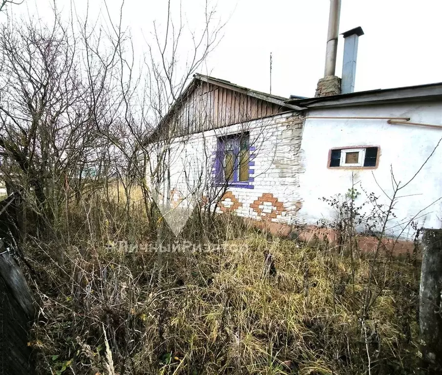 Дом в Рязанская область, с. Путятино ул. Алексухина, 30А (49 м) - Фото 1